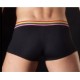 FRANCISCO PANT